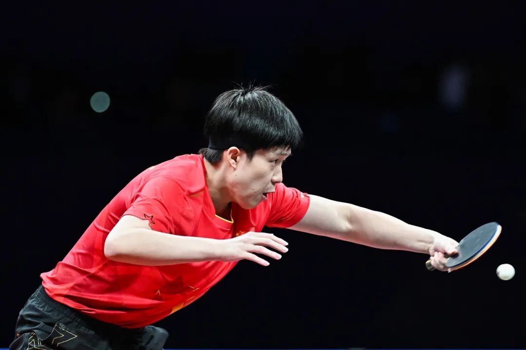 术多样化的 术多样化的